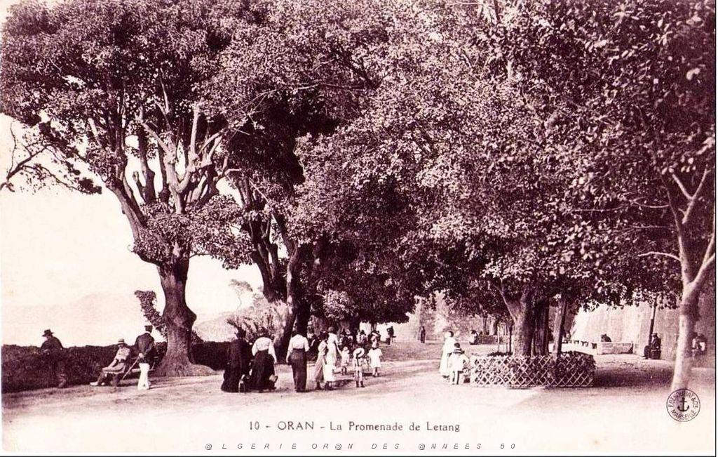 PL a- 086- Promenade de Letang A.jpg
